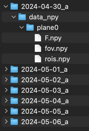 ex_suite2p_dt.png