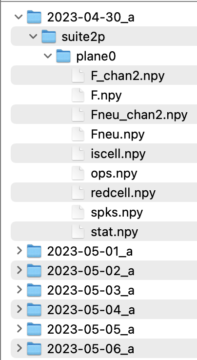 ex_suite2p_dt.png